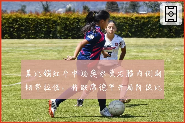 莱比锡红牛中场奥尔莫右膝内侧副韧带拉伤,将缺席德甲开局阶段比赛